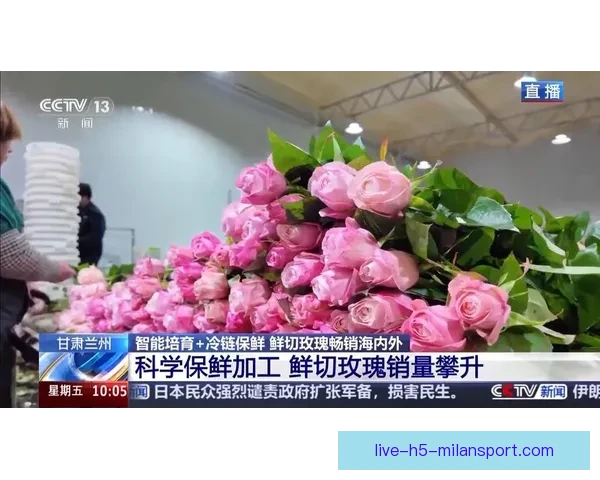 178体育打造专业足球篮球赛事高清直播互动资讯分析全天候服务平台